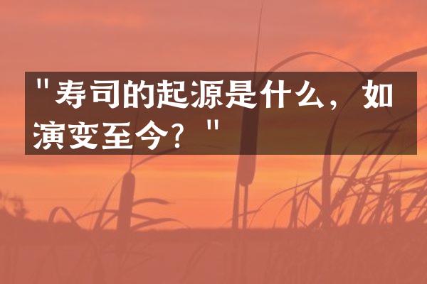 "寿司的起源是什么，如何演变至今？"