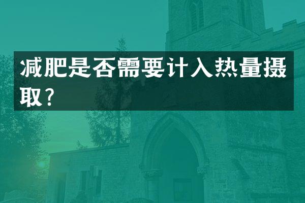 减肥是否需要计入热量摄取？