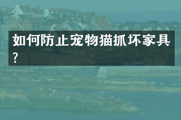 如何防止宠物猫抓坏家具？