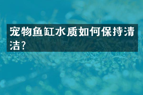 宠物鱼缸水质如何保持清洁？