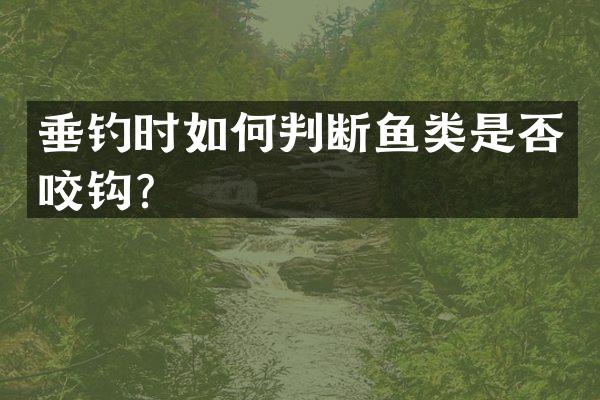 垂钓时如何判断鱼类是否咬钩？