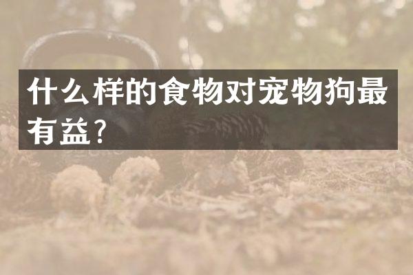 什么样的食物对宠物狗最有益？