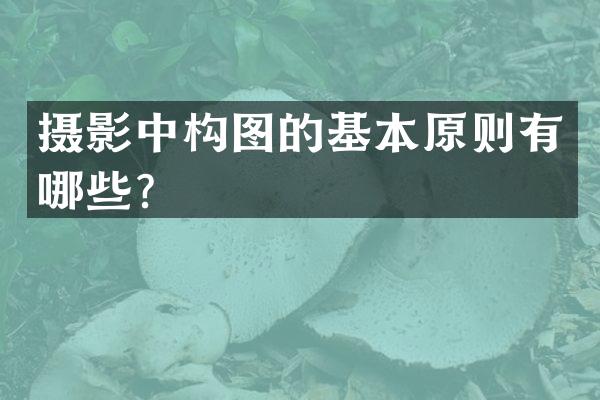 摄影中构图的基本原则有哪些？