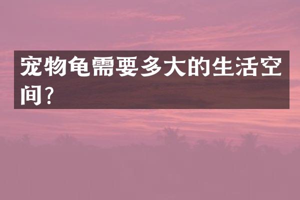 宠物龟需要多大的生活空间？