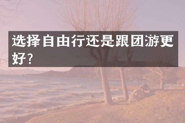 选择自由行还是跟团游更好？