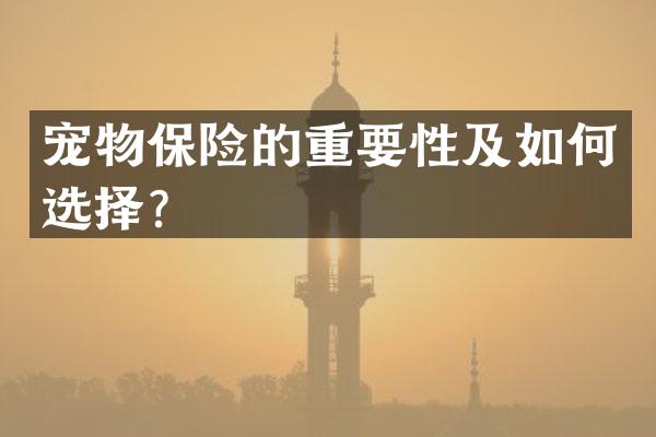 宠物保险的重要性及如何选择？