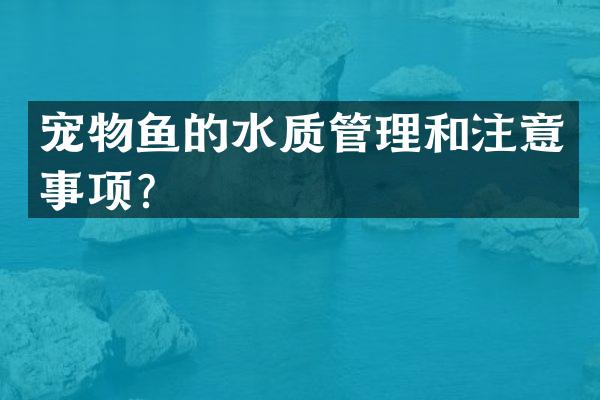 宠物鱼的水质管理和注意事项？
