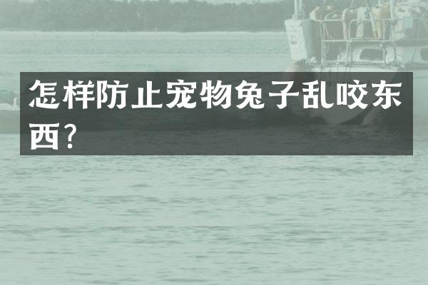 怎样防止宠物兔子乱咬东西？