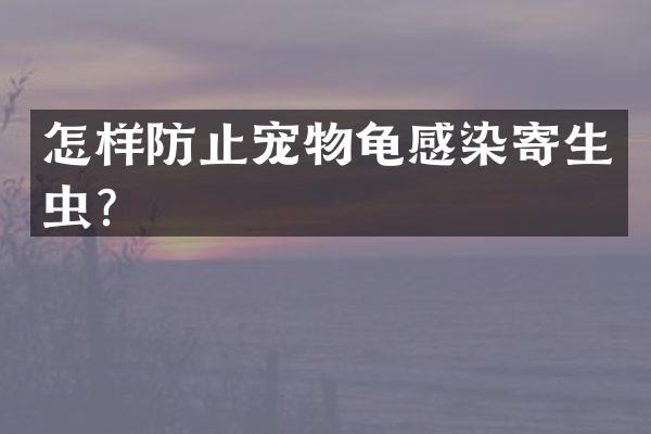 怎样防止宠物龟感染寄生虫？