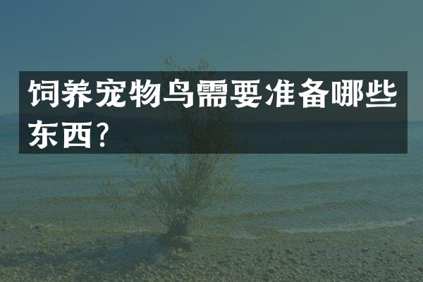 饲养宠物鸟需要准备哪些东西？