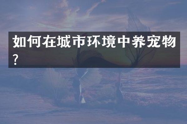 如何在城市环境中养宠物？