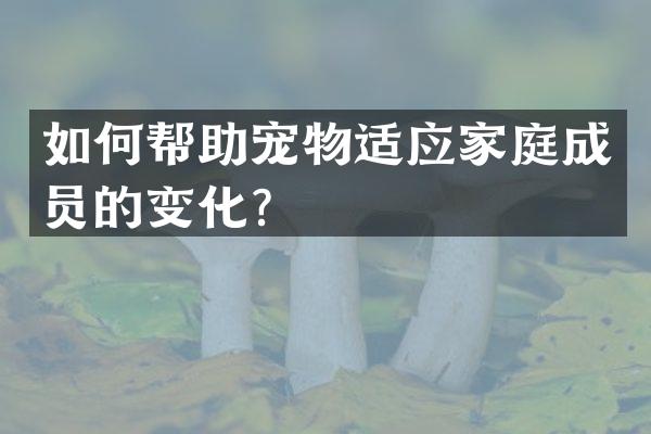 如何帮助宠物适应家庭成员的变化？