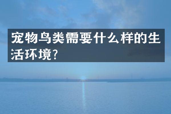 宠物鸟类需要什么样的生活环境？