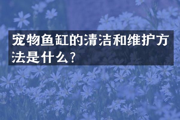 宠物鱼缸的清洁和维护方法是什么？
