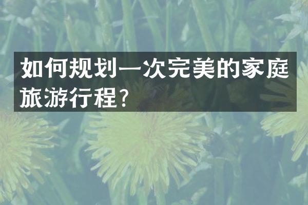 如何规划一次完美的家庭旅游行程？