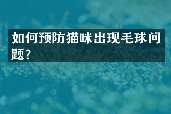 如何预防猫咪出现毛球问题？