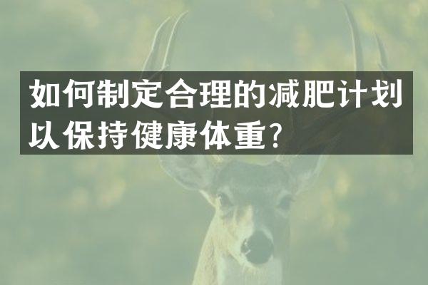 如何制定合理的减肥计划以保持健康体重？