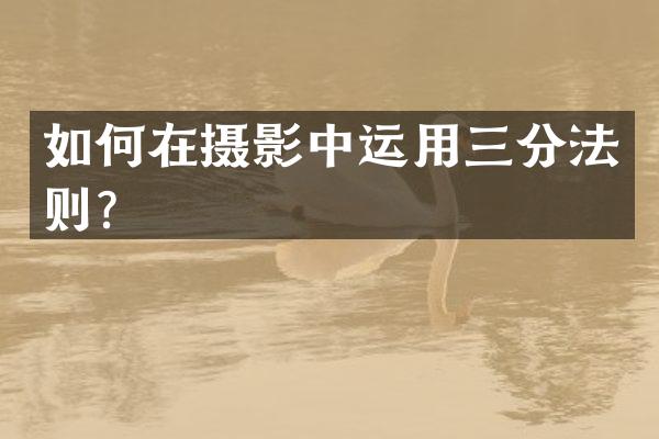 如何在摄影中运用三分法则？