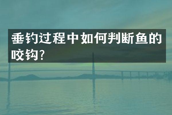垂钓过程中如何判断鱼的咬钩？