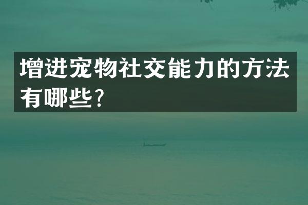 增进宠物社交能力的方法有哪些？