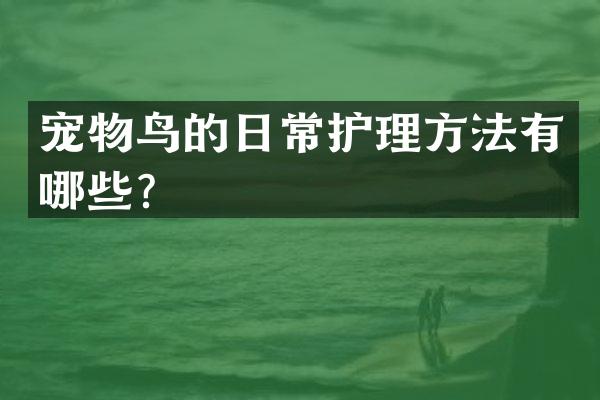 宠物鸟的日常护理方法有哪些？