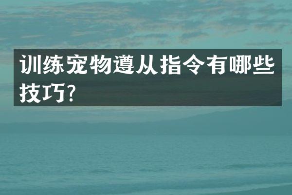 训练宠物遵从指令有哪些技巧？
