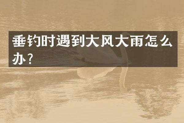 垂钓时遇到大风大雨怎么办？