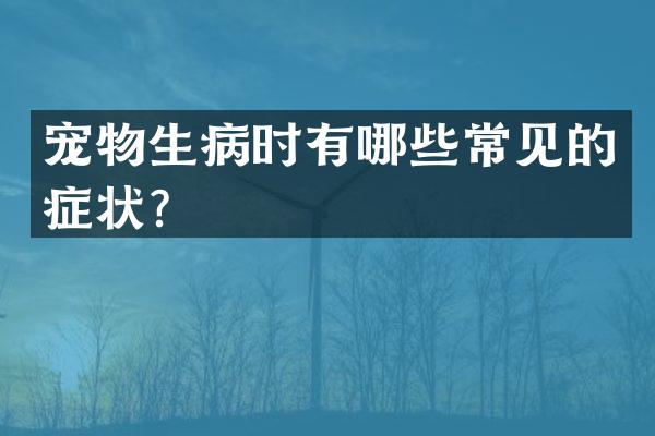 宠物生病时有哪些常见的症状？