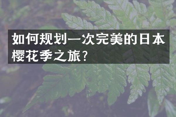 如何规划一次完美的日本樱花季之旅？