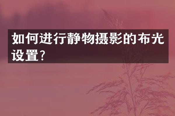 如何进行静物摄影的布光设置？
