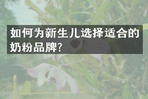 如何为新生儿选择适合的奶粉品牌？