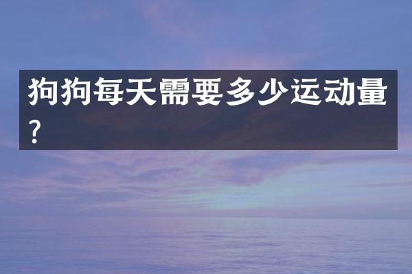 狗狗每天需要多少运动量？