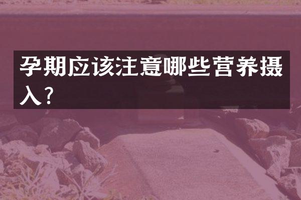 孕期应该注意哪些营养摄入？