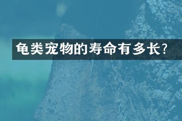 龟类宠物的寿命有多长？