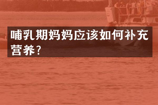 哺乳期妈妈应该如何补充营养？