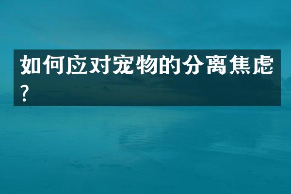 如何应对宠物的分离焦虑？