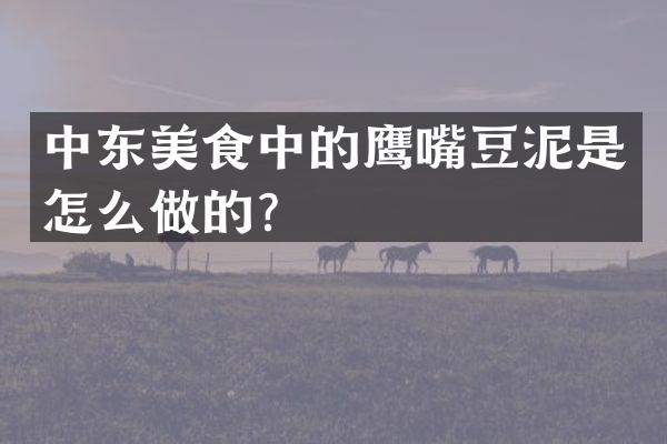 中东美食中的鹰嘴豆泥是怎么做的？
