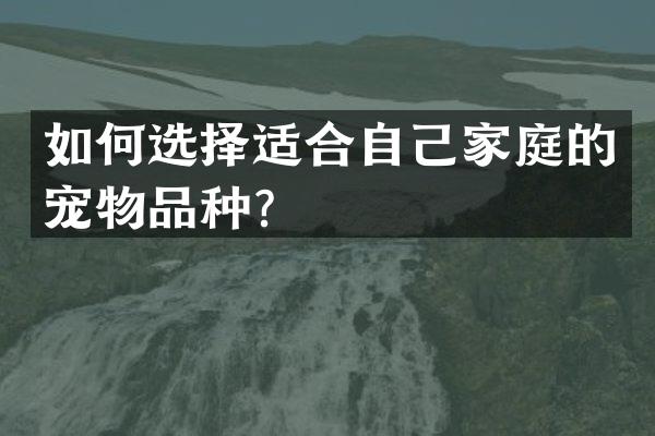 如何选择适合自己家庭的宠物品种？
