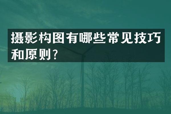 摄影构图有哪些常见技巧和原则？