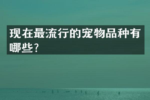 现在最流行的宠物品种有哪些？