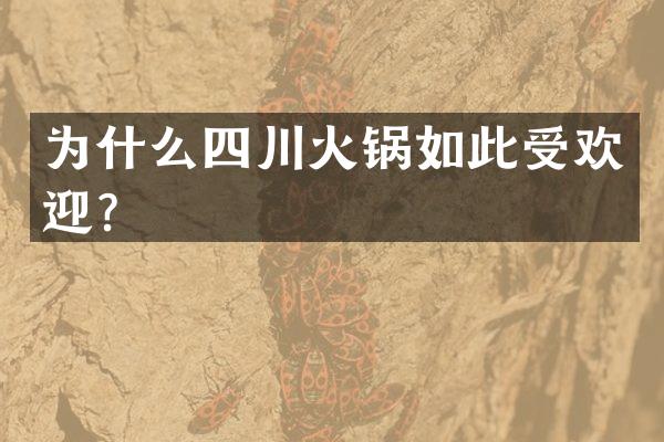 为什么四川火锅如此受欢迎？