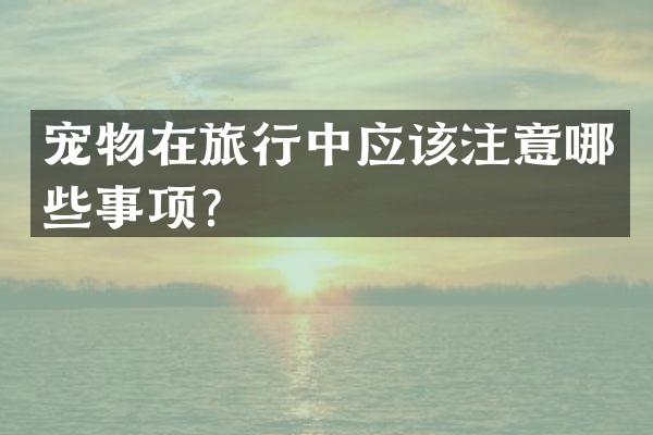 宠物在旅行中应该注意哪些事项？