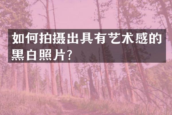 如何拍摄出具有艺术感的黑白照片？