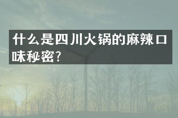 什么是四川火锅的麻辣口味秘密？