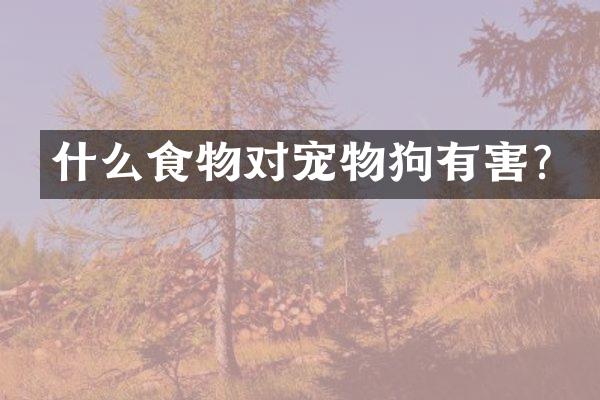 什么食物对宠物狗有害？