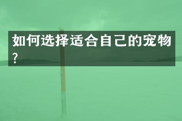 如何选择适合自己的宠物？