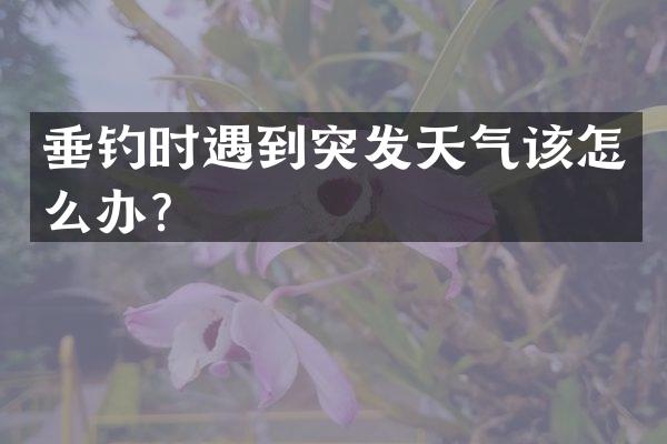 垂钓时遇到突发天气该怎么办？