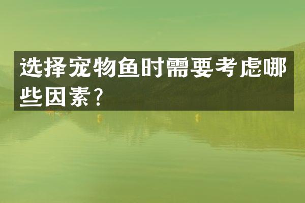 选择宠物鱼时需要考虑哪些因素？