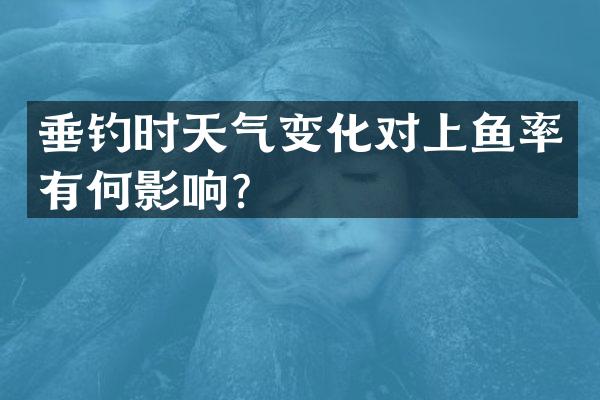 垂钓时天气变化对上鱼率有何影响？