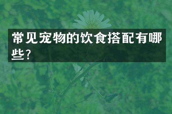 常见宠物的饮食搭配有哪些？
